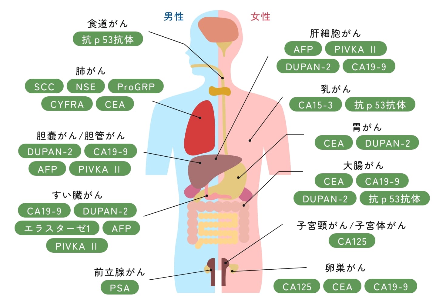 腫瘍マーカー