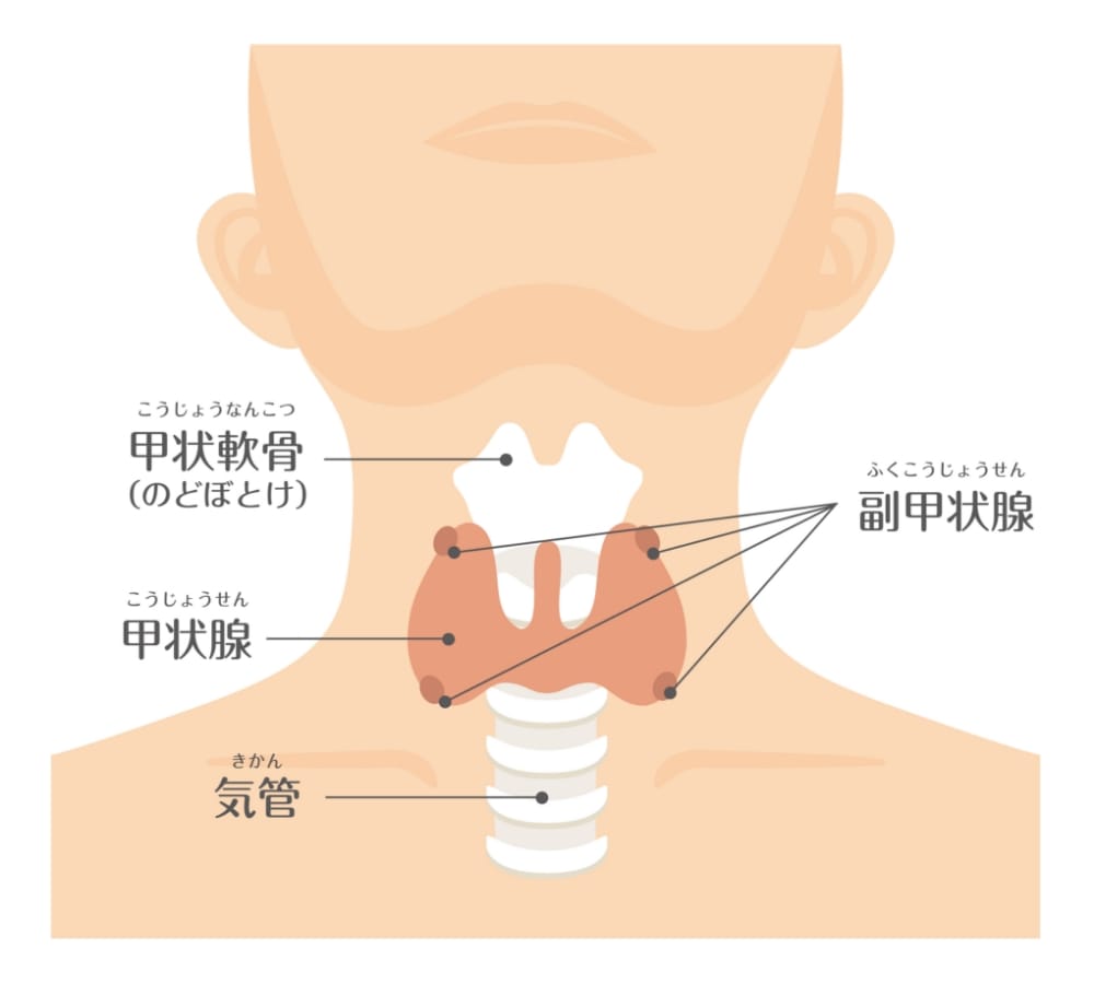 超音波検査